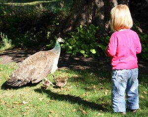 20090922_leedscastle_041